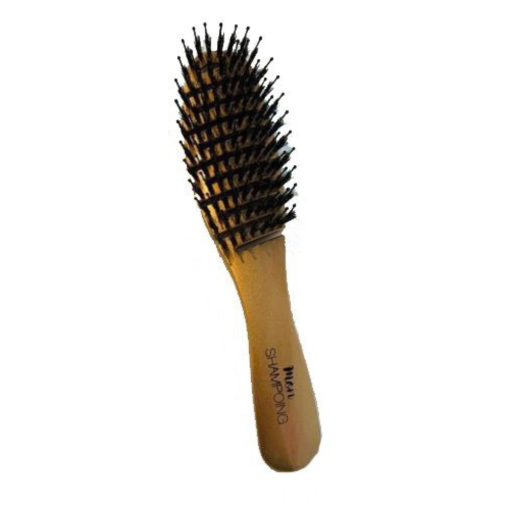 Brosse : Mon Shampooing